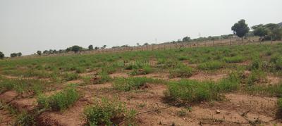Project Image of 8028.0 - 21609.0 Sq.ft Residential Plot Plot for buy in Vardhan Prakruthi Vanam