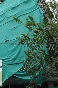 Project Image of 1072.0 - 1589.0 Sq.ft 2 BHK Apartment for buy in JKB Ganapath