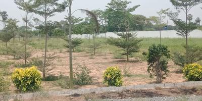 Project Image of 1314.0 - 4320.0 Sq.ft Residential Plot Plot for buy in Amaravati Sun City