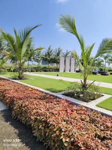 Project Image of 0.0 - 500.0 Sq.ft Residential Plot Plot for buy in Tirumala Padmawati