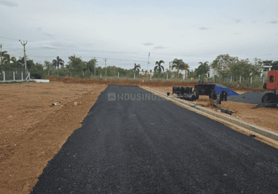 Project Images