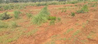 Mahamumbai Plots In Pirkon Plot 2