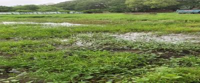 Project Image of 1276.92 - 1592.2 Sq.ft Residential Plot Plot for buy in IZZ 86 Residency