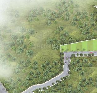 Project Image of 0.0 - 9816.0 Sq.ft Residential Plot Plot for buy in PG VIP City