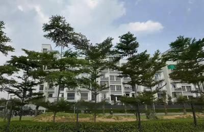 Project Image of 2880.42 - 3350.33 Sq.ft Residential Plot Plot for buy in Birla Navya Anaika Plot