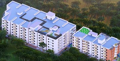 STSK Nature Elation Elevation 1