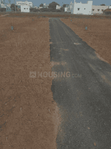 Thirumal Nagar Internal Roads & Footpaths 1