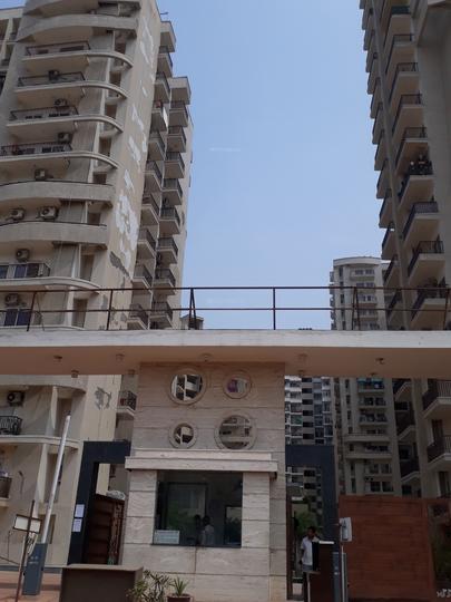 Aims Golf Avenue 2 - Image 3