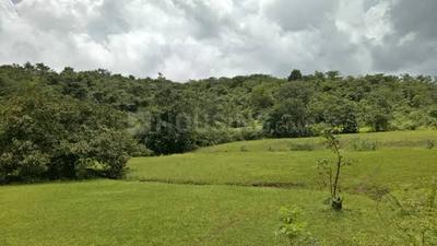 Project Image of 1000.0 - 3000.0 Sq.ft Residential Plot Plot for buy in Bhoomi Plots In Pali