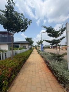 Project Image of 1200.0 - 4045.0 Sq.ft Residential Plot Plot for buy in KNS Samooha 