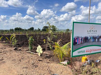 Project Image of 5445.0 - 43560.0 Sq.ft Residential Plot Plot for buy in Lotus Mana Polam