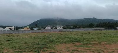 Project Image of 600.0 - 2016.0 Sq.ft Residential Plot Plot for buy in Sarangi Saranki Palm Paradise