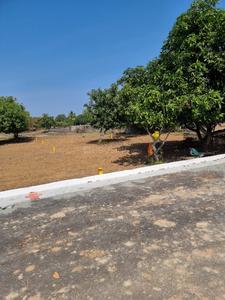 Project Image of 600.0 - 2415.0 Sq.ft Residential Plot Plot for buy in Kris Farms