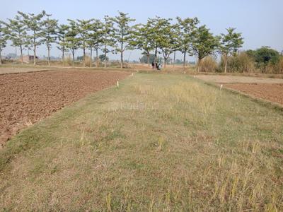 Project Image of 599.98 - 3000.01 Sq.ft Residential Plot Plot for buy in City Sapphire Park