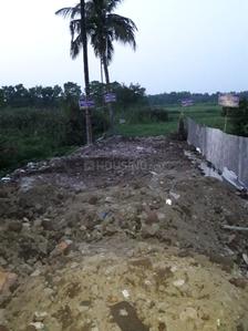 Project Image of 1440.0 - 2160.0 Sq.ft Residential Plot Plot for buy in Rishav Riviera Township