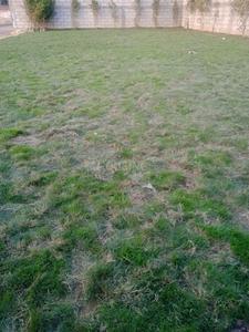 Project Image of 900.0 - 1350.0 Sq.ft Residential Plot Plot for buy in Panchsheel Park Phase 1