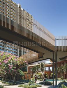 Conscient Parq Landscape Garden and Tree Planting 1