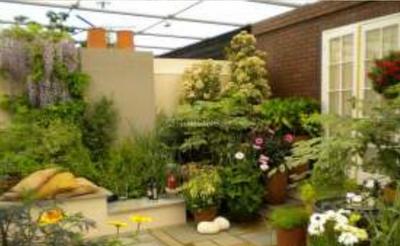 Project Image of 1415.0 - 1875.0 Sq.ft 2 BHK Apartment for buy in Lotus Greens