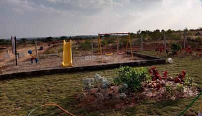 Tricolour Safrron Rise Plot 1