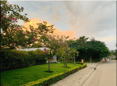 Project Image of 2610.0 - 4675.0 Sq.ft 3 BHK Villa for buy in Sterling Villa Grande