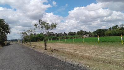 Project Image of 1800.0 - 2400.0 Sq.ft Residential Plot Plot for buy in Wisdom Sri Sathya Sai Nagar 
