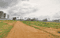 Gallery Cover Pic of Neighbourhood Tree Park