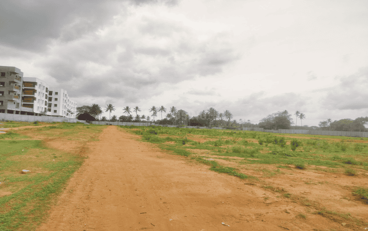 Gallery Cover Pic of Neighbourhood Tree Park