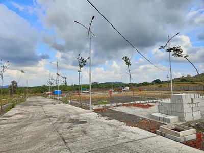 Project Image of 1250.0 - 4000.0 Sq.ft Residential Plot Plot for buy in The Blue Oak