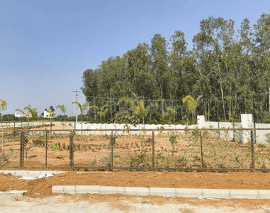 Project Image of 1127.11 - 2241.69 Sq.ft Residential Plot Plot for buy in Falcon Sun And Serenity