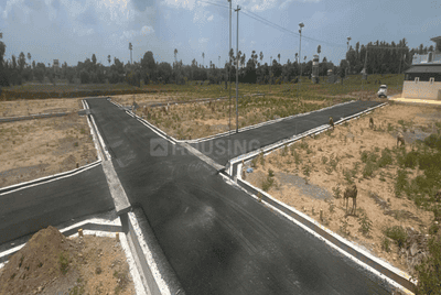 Project Images