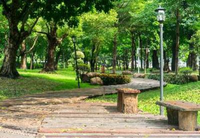 Ekveera SB Tower Landscape Garden and Tree Planting 1