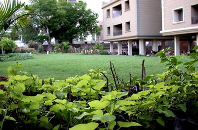 Project Image of 900.0 - 1155.0 Sq.ft 2 BHK Apartment for buy in NK Villa Heights
