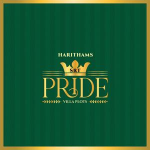 Project Image of 587.0 - 1945.0 Sq.ft Residential Plot Plot for buy in Harithams SRT Pride