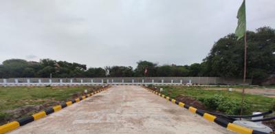 Project Image of 1319.4 - 4554.0 Sq.ft Residential Plot Plot for buy in Sun Olive Greens