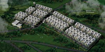 Project Image of 2250.0 - 2524.0 Sq.ft 3 BHK Villa for buy in Triton Environ