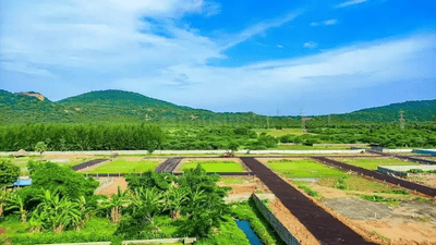 Project Image of 600.0 - 2400.0 Sq.ft Residential Plot Plot for buy in Avigna Happy Valley