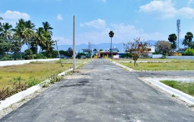Project Images