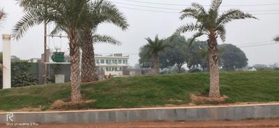 Project Image of 1200 Sq.ft Residential Plot / Land for sale in Sirol for Rs. 6700000