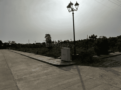 Project Images