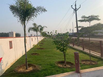 Project Image of 600 Sq.ft Residential Plot / Land for sale in Pacheda 1 for Rs. 600000