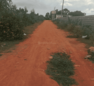 Project Image of 750.03 - 1799.94 Sq.ft Residential Plot Plot for buy in Creastate Patna Awas Yojna