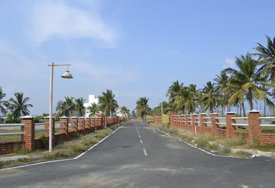 Project Image of 4440.0 - 9500.0 Sq.ft Residential Plot Plot for buy in Olive Island