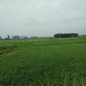 Project Image of 450.0 - 10350.0 Sq.ft Residential Plot Plot for buy in Shubham Jewar City