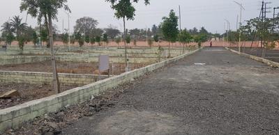 Project Images