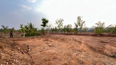 Project Image of 5717.0 - 7078.0 Sq.ft Agricultural Land Agricultural Land for buy in Swaraa