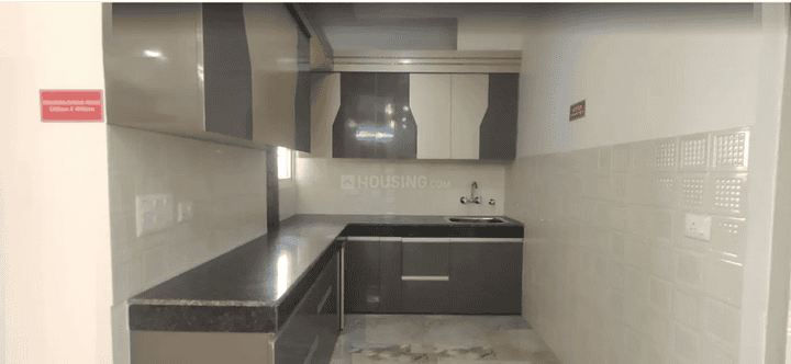 Divyansh Onyx - Image 4