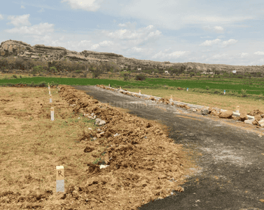 Project Images
