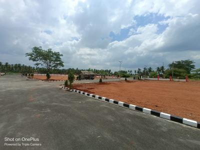 Project Image of 812.0 - 1902.0 Sq.ft Residential Plot Plot for buy in Senthur Star Avenue