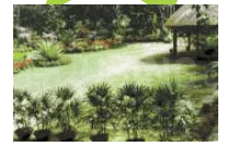 Project Image of 553.0 - 1265.0 Sq.ft 1 BHK Apartment for buy in Ram Unnati Privilege