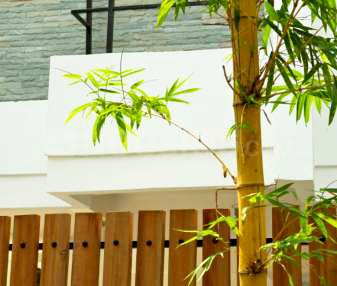Project Image of 1190.0 - 2065.0 Sq.ft 2 BHK Apartment for buy in Alekhya Earth Song